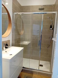 102 - Appart rénové avec grand salon et 1 chambre - Tram et Clinique Mutualiste à 1 min - 8