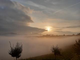 Cascina Romanino - Mango - 4