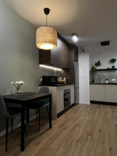 Wygodny Apartament Piotrkowska Centrum - Łódź - 5
