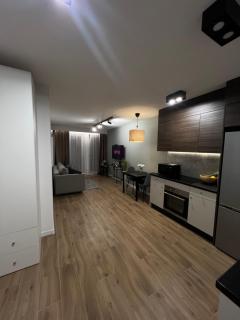 Wygodny Apartament Piotrkowska Centrum - Łódź - 0