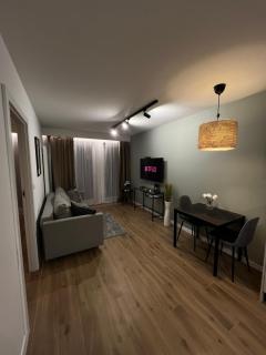 Wygodny Apartament Piotrkowska Centrum - Łódź - 1