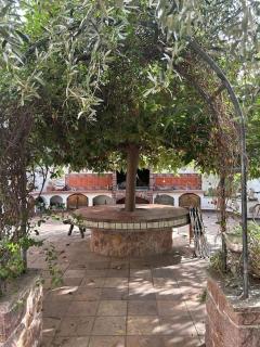 Casa Mandarina - Xerta - 6