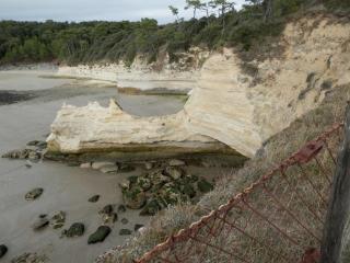 Les Fauvettes - Royan - 5