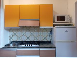 Ville Nelson Ninoska - 2