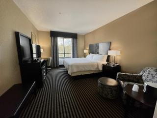 Holiday Inn San Antonio North Stone Oak Area by IHG - 4
