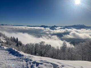 Pension Stöllinger mit Traumausblick - 6