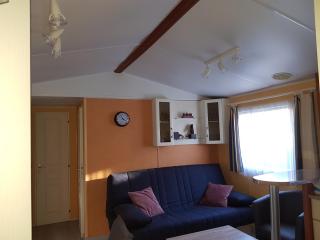 Mobil-home Gère-Bélesten - Gère-Belesten - 1