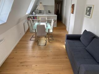 Apartment in Grinzing bis zu 4 Personen - Vienne - 7