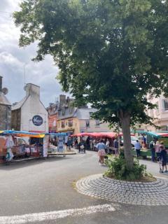 Maison de vacances hyper centre, plage à pied - Etables sur Mer - 8
