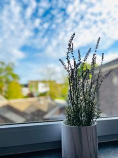 Charmant petit appartement. - Lieja - 3