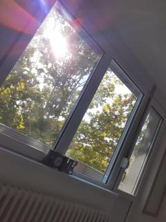 Apartman 4L - Kladovo - 8