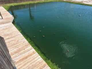 Cast-A-Waves - Port Aransas - 8