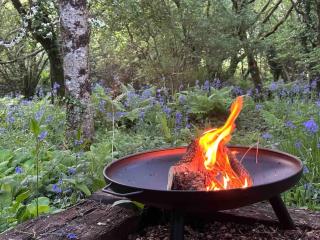 Cornwall Woodland Shepherd's Hut Deirdres Hut - Bodmin - 7