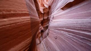 Escalante Escapes Tumble Weed- Bunk Escape - 6