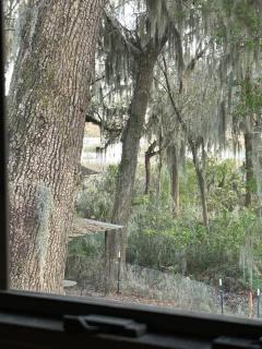 Marsh Apartment - Seabrook - 3