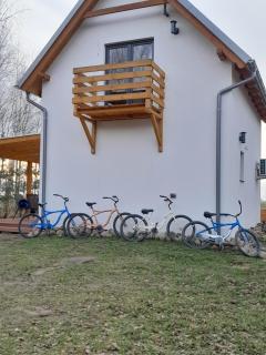 Przystanek Las - Gąsawa - 9