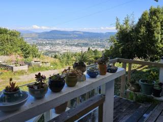 Aorangi Peak Cottage - 3