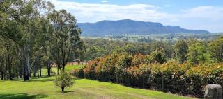 Elfin Hill Vineyard Accommodation - 4