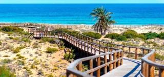 Bungalow adaptado, terraza muy grande y soleada. - Gran Alacant - 7