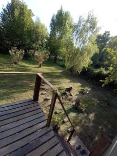 Isla magnífica - Tigre - 9