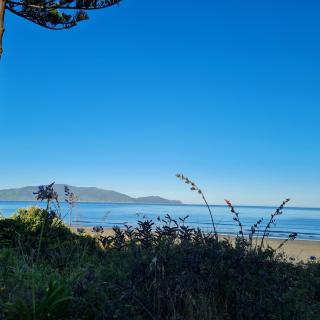 Waikanae Beach Suite Retreat - 5