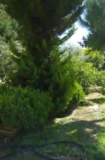 Pink house - 2