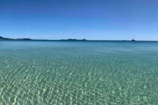 Whitsundays Ocean & Rainforest views Airlie Beach - Airlie Beach - 8