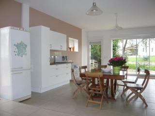 Gîte spacieux, confort moderne, nature et tranquillité près de Tours et des châteaux de la Loire - FR-1-381-273 - Le Boulay - 4