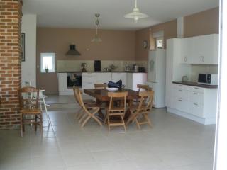 Gîte spacieux, confort moderne, nature et tranquillité près de Tours et des châteaux de la Loire - FR-1-381-273 - Le Boulay - 3