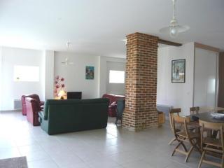 Gîte spacieux, confort moderne, nature et tranquillité près de Tours et des châteaux de la Loire - FR-1-381-273 - Le Boulay - 2