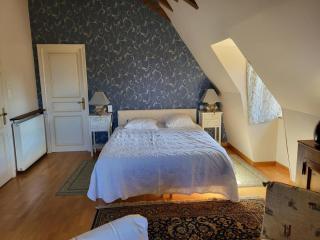 Charmante maison du XVe avec piscine, jardin et terrasse en lisière de la forêt de Tronçais - FR-1-489-217 - Le Brethon - 6