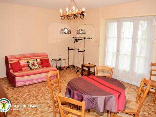 Gîte charmant près de Tours et Amboise avec Wi-Fi, cour privative, garage à vélos, accepte animaux - FR-1-381-503 - Vernou-sur-Brenne - 7