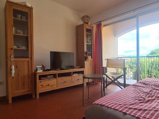 Charmant T2 à 300m de la plage avec parking à Collioure - FR-1-309-418 - 5