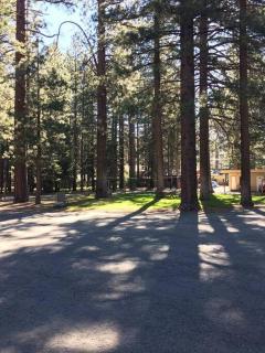 The Washoe 3 Bedroom Family Unit - South Lake Tahoe - 5