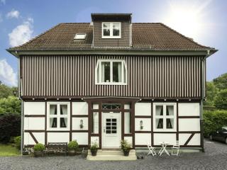 Cosy apartment in Harz - 2