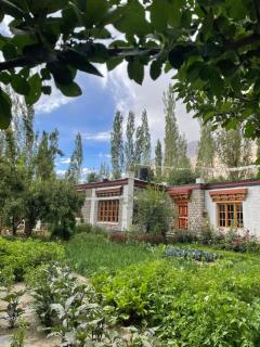The Kesar Guest House Sumoor - Leh - 5