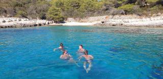 Blue & Green Cave Vis Island and Pakleni Islands Private Day Trip from Hvar - Hvar - 2