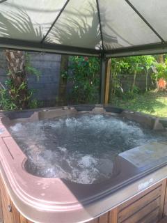 Les Hibiscus - Saint-Philippe - 7