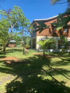 Les Hibiscus - Saint-Philippe - 5