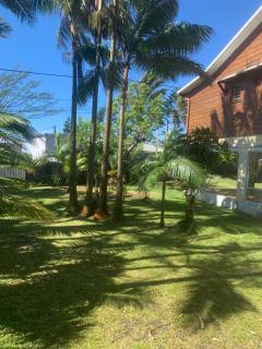 Les Hibiscus - Saint-Philippe - 2