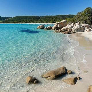 Appartement 4 pers vue sur la baie de Santa Giulia - Porto-Vecchio - 7
