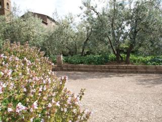 Casa Passero Orvieto - San Quirico - 2