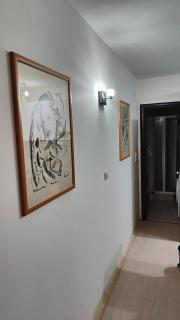 Konak - Kragujevac - 4
