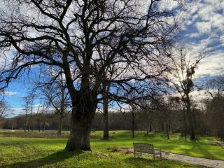 Domaine de l'Atrée - Gite La Petite Longère dans la Nature Préservée - Saint-Martin-des-Champs - 7