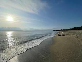 T2 VUE MER MARINA DI BRAVONE N197 - Linguizzetta - 1