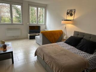Metz Muse Studio 4 couchages - Metz - 9