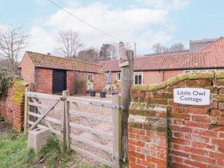 Little Owl Cottage - Saxmundham - 0