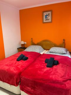 Apartment Goleta 34 - Torrevieja - 6