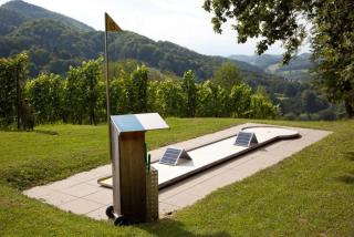 Weingut spitzyPeitler - 1