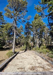 Chalet du Mont Ventoux - Rendez-vous en Provence - 3